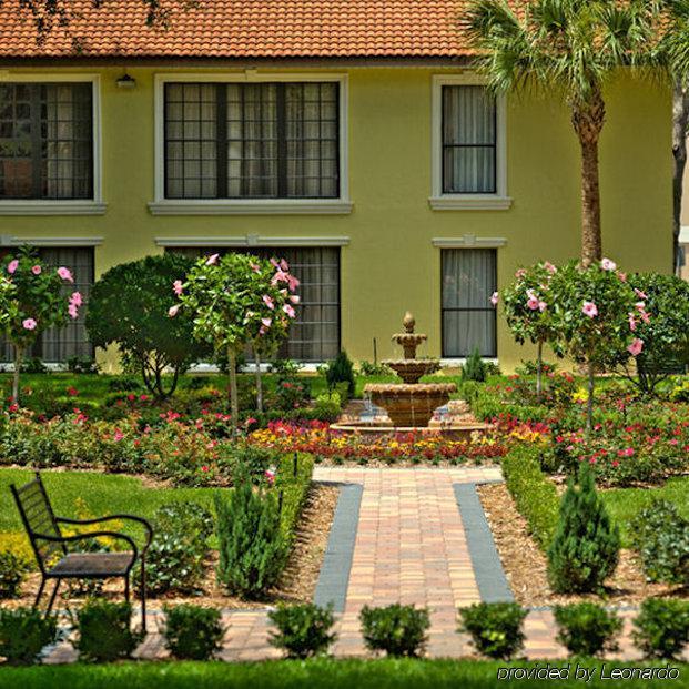 Legacy Vacation - And Buena Vista 3*