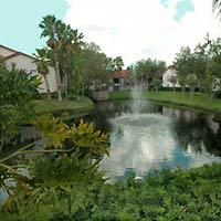 Legacy Vacation - And Buena Vista 3*